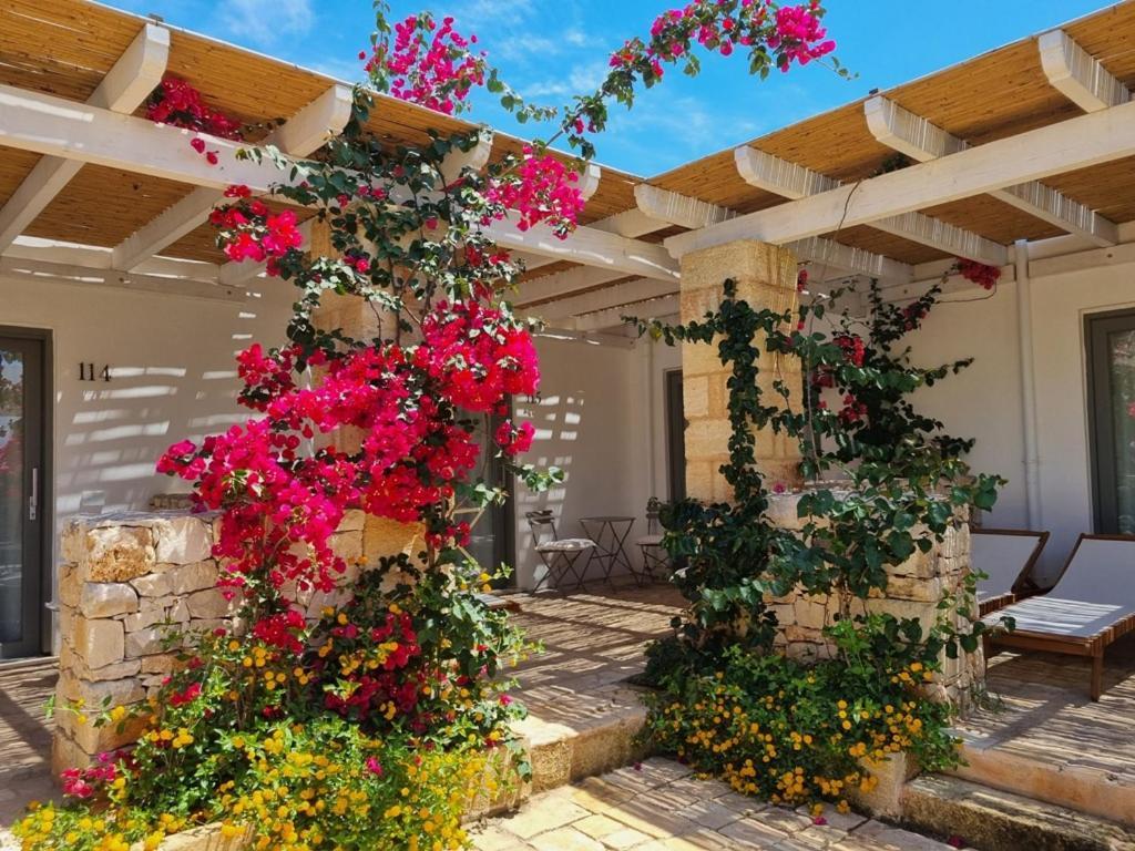 Masseria Baroni Di Montesardo Lido Marini Luaran gambar